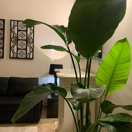 Downtown Luxury 아파트