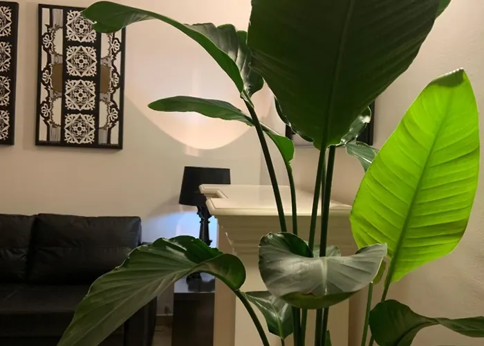 Downtown Luxury Appartement